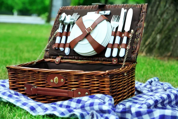 Wiklinowy kosz piknikowy — Zdjęcie stockowe