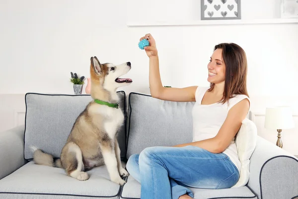 Woman playing with malamute dog on sofa in room — Stock Photo, Image