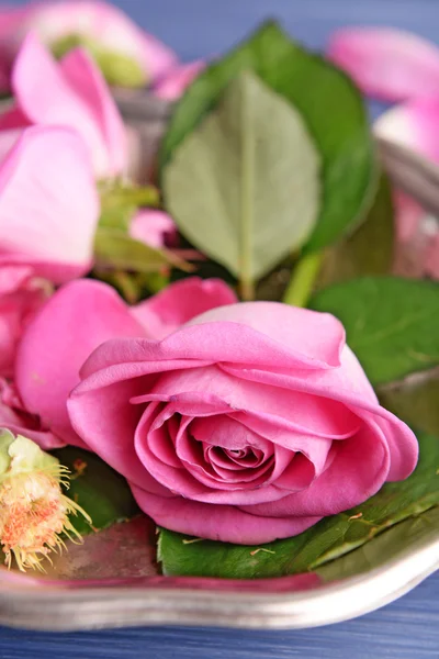Vacker rosa rosor i metallplatta, närbild — Stockfoto