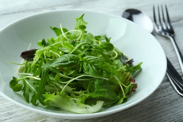 Taze karışık yeşil salata — Stok fotoğraf