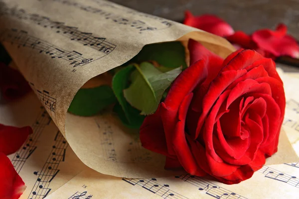 Belle rose enveloppée sur des feuilles de musique — Photo