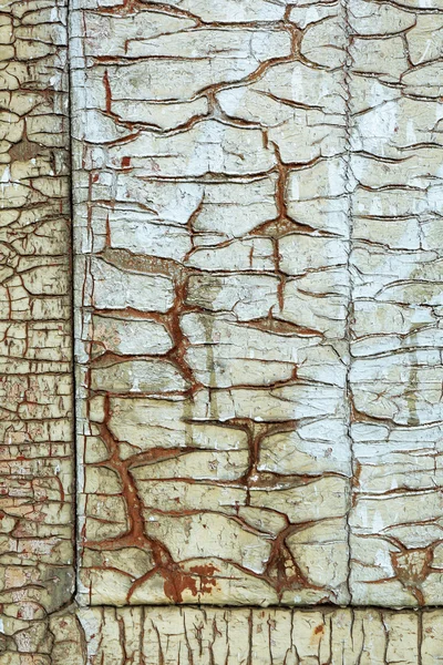 오래 된 나무의 질감 배경 — 스톡 사진