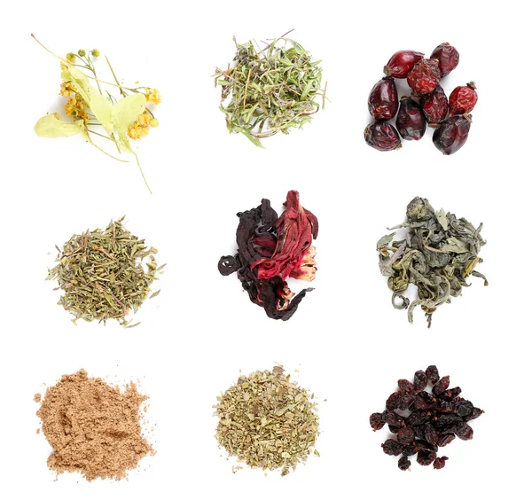 Різні види трав'яного чаю і трав ізольовані на білому — стокове фото