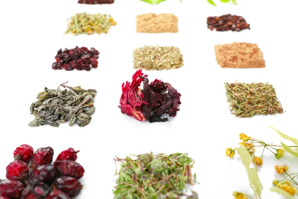 Various kinds of herbal tea and herbs isolated on white — Stock Photo, Image