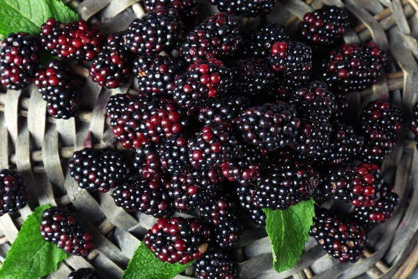 Heap of sweet blackberries with mint on table close up — Stock Photo, Image