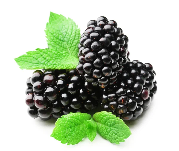 Ripe blackberries with green leaves isolated on white — Stock Photo, Image