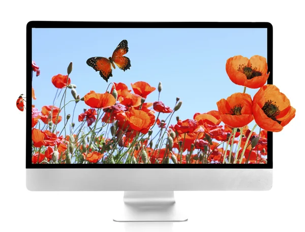 Nueva computadora moderna con fondo de pantalla de la naturaleza en pantallas aisladas en blanco — Foto de Stock