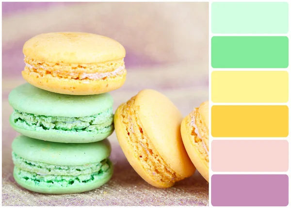 Macarons et palette de couleurs — Photo