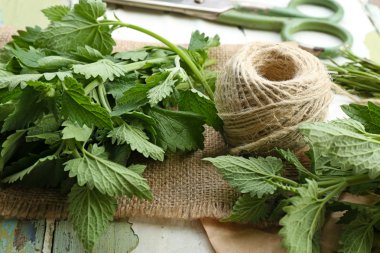 İp ve makas ile oğul otu yaprakları