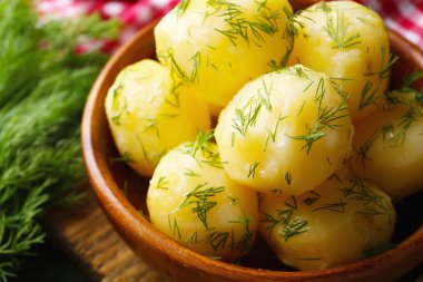 Yeşillikleri ile haşlanmış patates