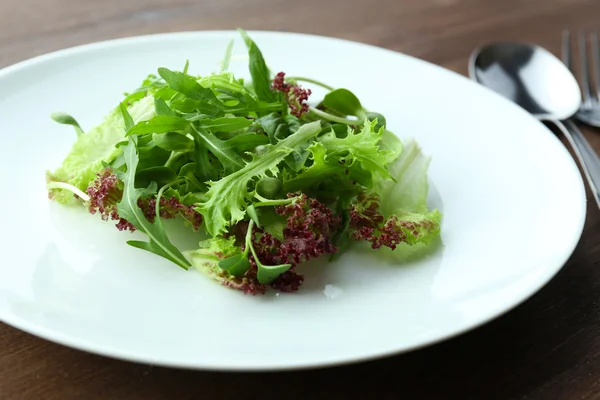Tabak taze karışık yeşil salata — Stok fotoğraf