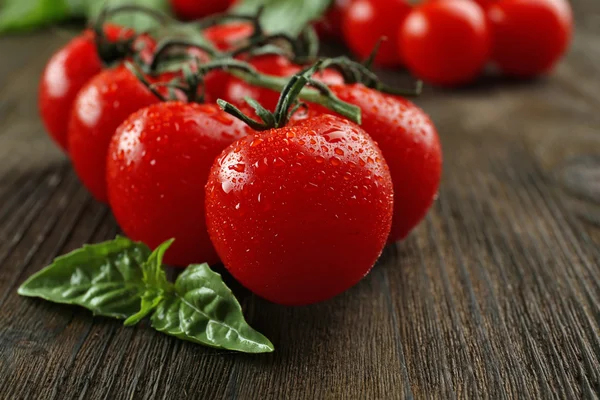 Świeże pomidory z bazylią — Zdjęcie stockowe