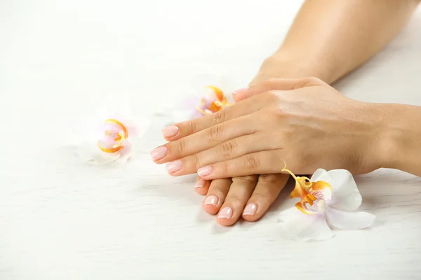 Ręce z Francuski manicure i orchidea — Zdjęcie stockowe