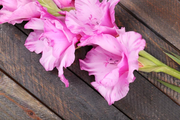 Beautiful gladiolus on wooden background — Stock Photo, Image