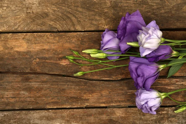 Hermoso eustoma sobre fondo de madera —  Fotos de Stock