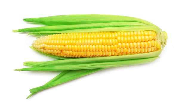 Färsk majs på cob — Stockfoto
