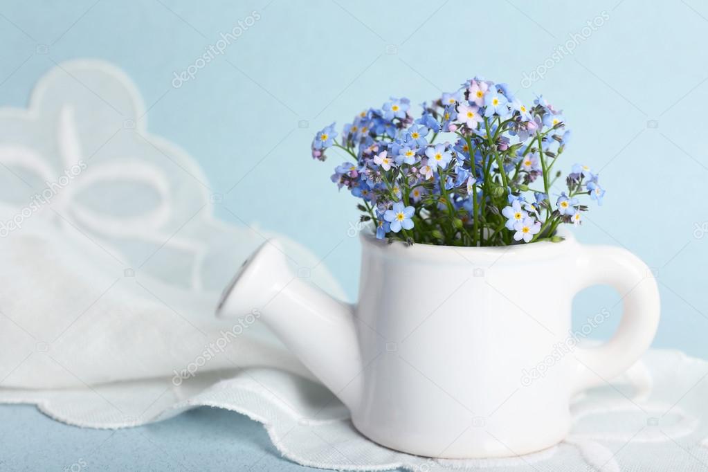 Forget-me-nots flowers in watering can, on blue background