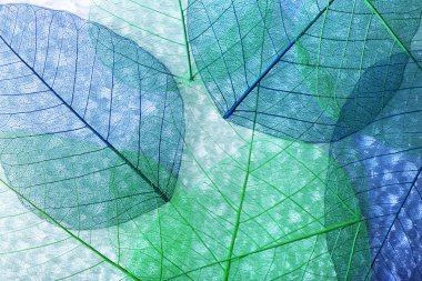 Soyut iskelet arka plan bırakır