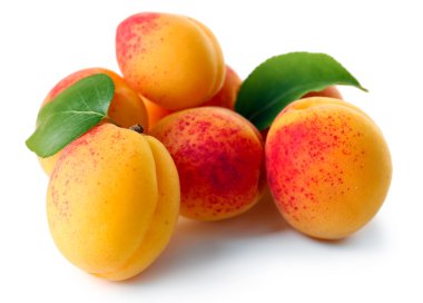 Olgun kayısı üstüne beyaz izole