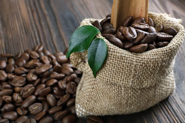 Coffee beans with leaves — Stock Photo, Image