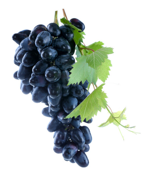 Fresh ripe grapes