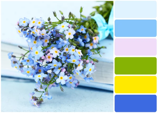 Korun çiçek kitap ve renk paleti