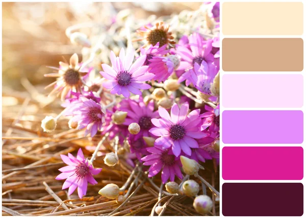Krásná kytice na slámu a paletu barev. — Stock fotografie