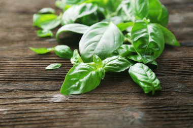 ahşap zemin üzerine yeşil taze fesleğen