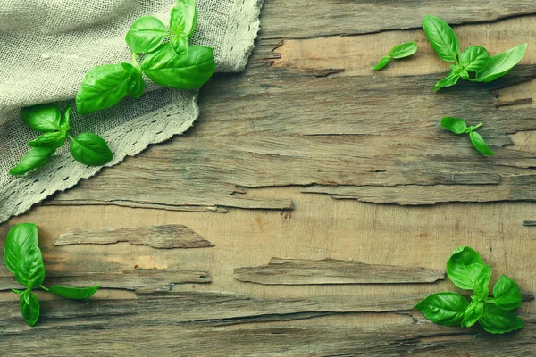 πράσινο φρέσκο βασιλικό με χαρτοπετσέτας