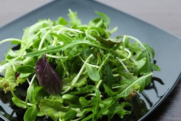 Taze karışık yeşil salata plaka üzerinde kapat — Stok fotoğraf