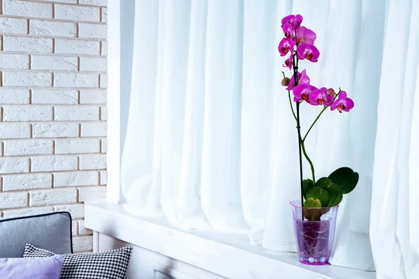 Красивая сиреневая орхидея в горшочке на столе в номере — стоковое фото