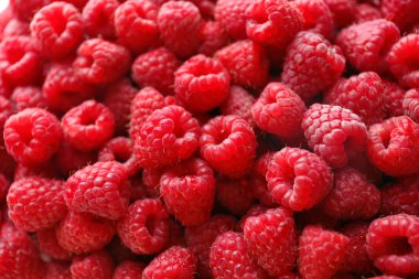 Tatlı Kırmızı Ahududu yakın çekim yığını