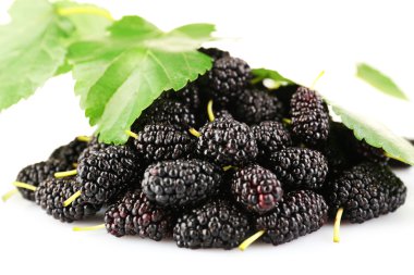 Taze dut üzerinde beyaz izole