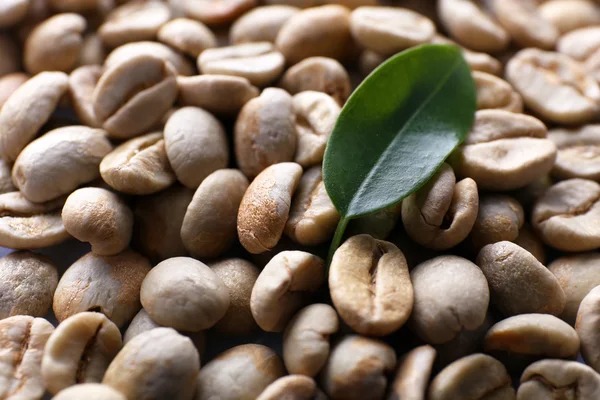 Groene koffiebonen met blad hoop close-up — Stockfoto