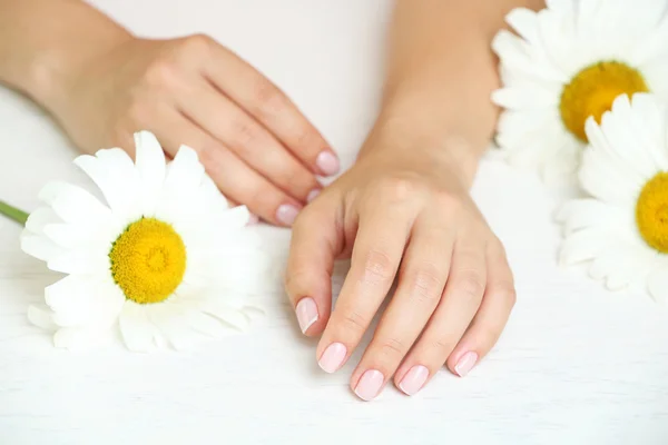 Woman hands with french manicure and chamomile on table close-up — Stock Photo, Image
