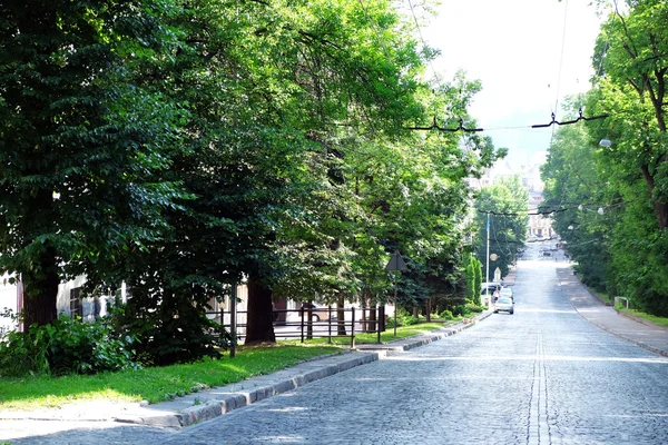 Green city street — Stock Photo, Image