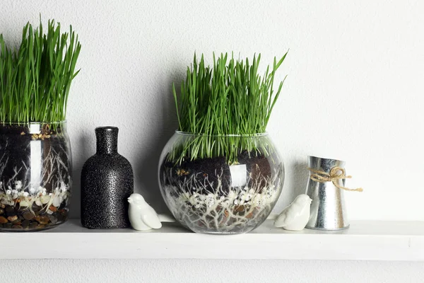 Transparante potten met verse groene gras op plank — Stockfoto