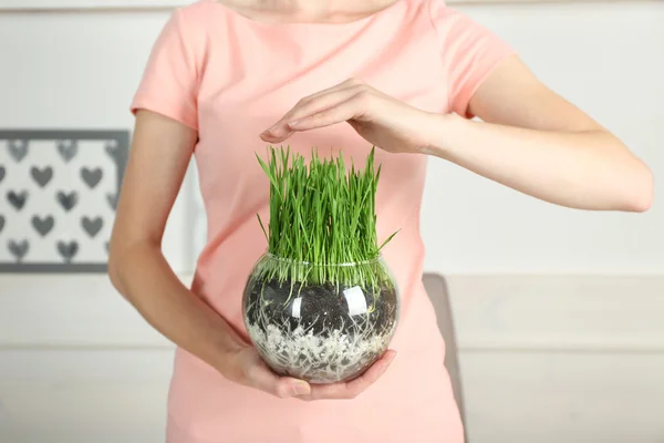 Donna in possesso di pentola trasparente con erba fresca verde — Foto Stock