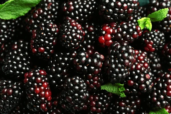 Heap of sweet blackberries with mint close up — Stock Photo, Image