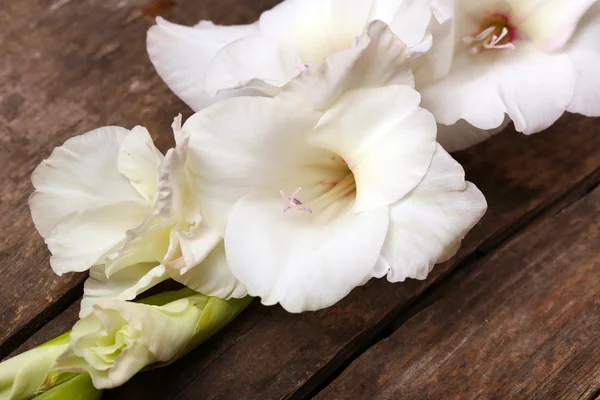 Mooie gladiolen op tafel close-up — Stockfoto