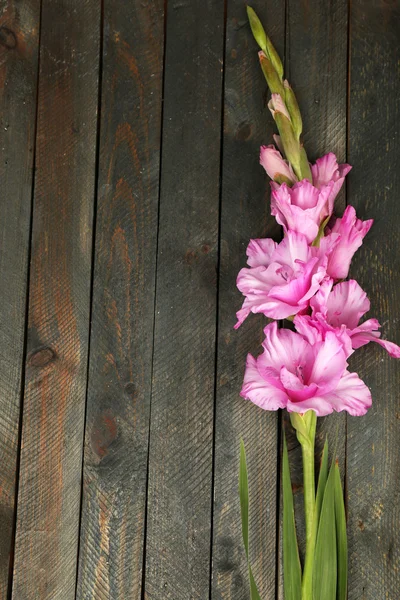 Hermoso gladiolo sobre fondo de madera —  Fotos de Stock