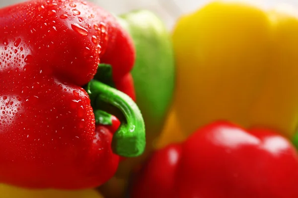 Skupina mokré barevné papriky, detail — Stock fotografie