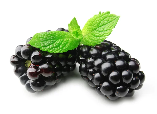 Ripe blackberries with green leaves isolated on white — Stock Photo, Image