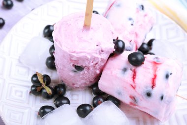 Beyaz plaka, portre siyah kuş üzümü ile tatlı dondurma