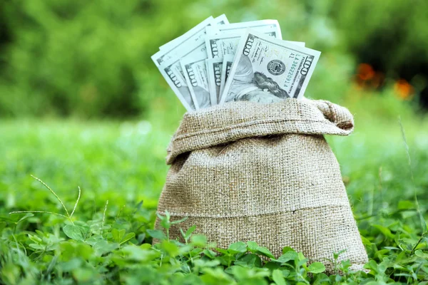 Lot of one hundred dollar bills in bag on grass background — Stock Photo, Image