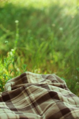 Ekose çimenlerin üzerinde piknik için