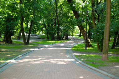 Yeşil Şehir Parkı 