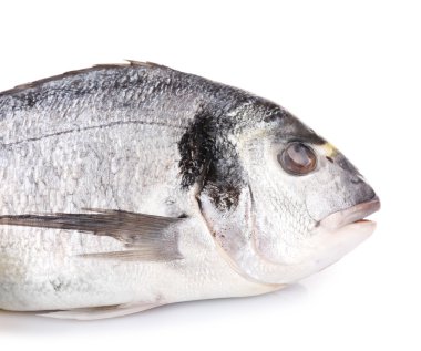 Dorado balık üzerinde beyaz izole