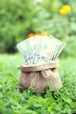 yüz dolar faturaları