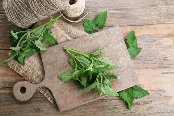 Leaves of lemon balm with rope — Stock Photo, Image